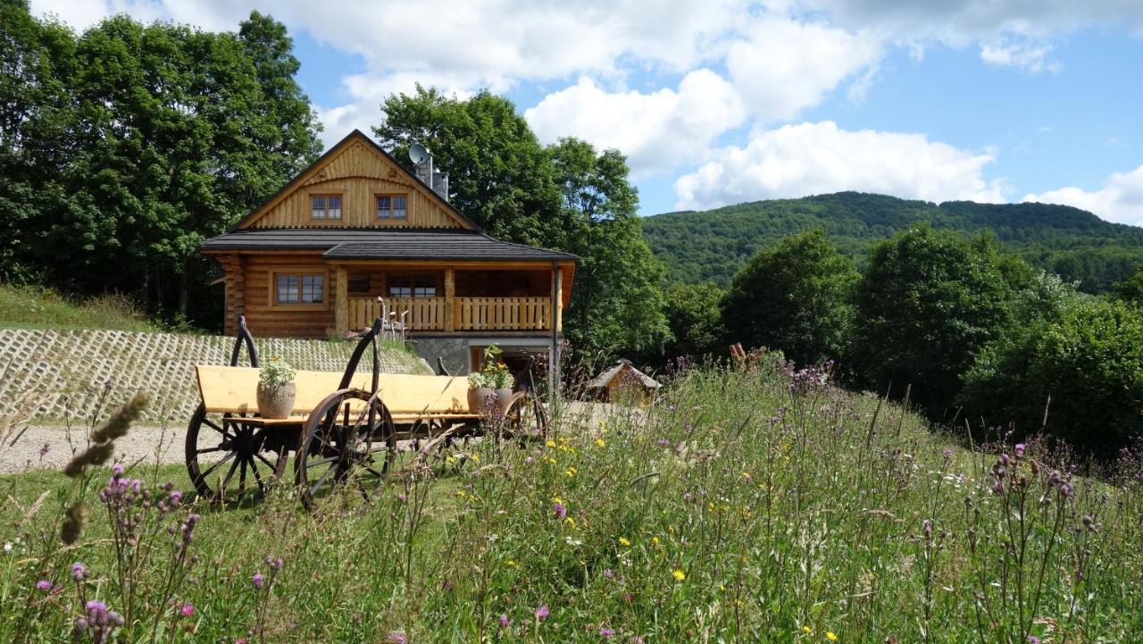 Bieszczadzkie Marzenie Wetlina Hotel Luaran gambar