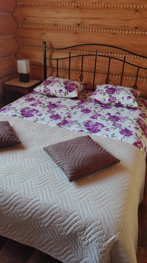 Bieszczadzkie Marzenie Wetlina Hotel Luaran gambar
