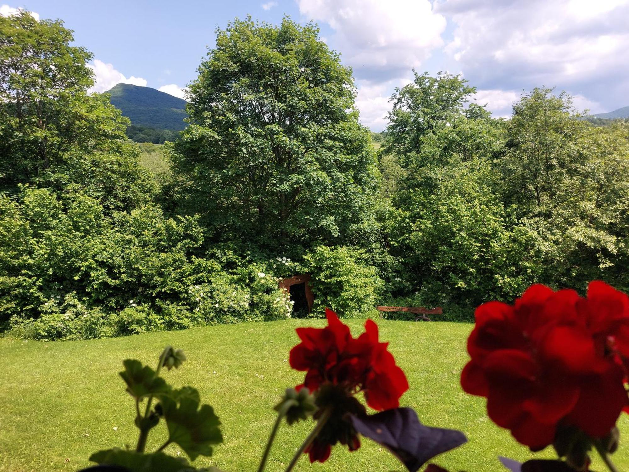 Bieszczadzkie Marzenie Wetlina Hotel Luaran gambar
